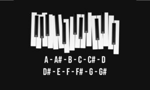 Music Notes – A B C D E F G – notes in the musical scale